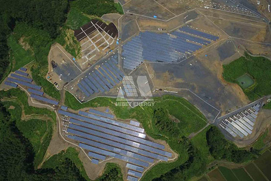 2020年回顧｜各市場捷報頻傳 