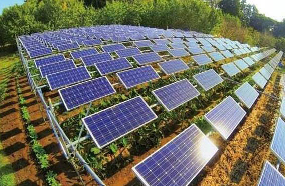 建設(shè)農(nóng)光互補光伏電站有什么好處？