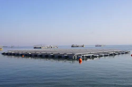 破局！海上光伏“探路者”