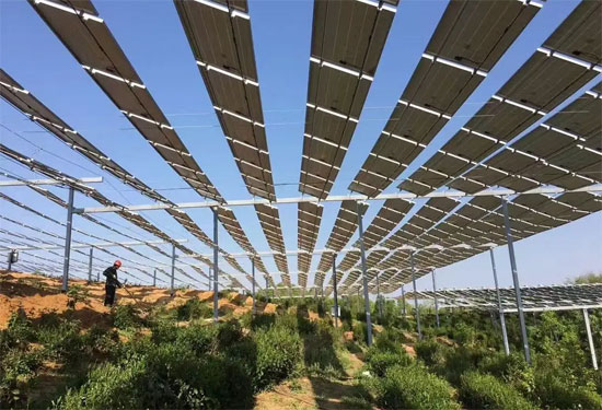 農(nóng)光互補是什么